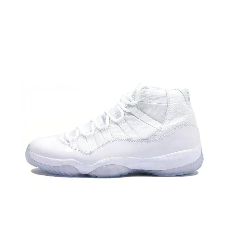 Air Jordan 11 Retro Silver Anniversary 408201-101