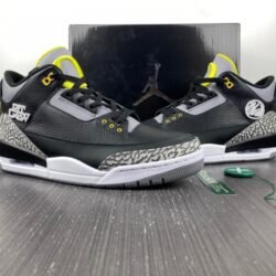 Air Jordan 3 RetroOregon Duck H011-MNJDLS-594-282240