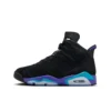 Air Jordan 6 GRAPE CT8529-004