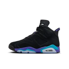 Air Jordan 6 GRAPE CT8529-004