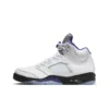 Air Jordan5 CONCORD  DD0587-141