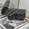 DIOR Saddle Grain Calfskin Saddle Bag, Shoulder Bag, Crossbody Bag