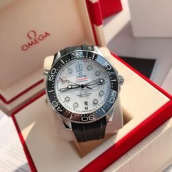 Omega Seamaster Planet Ocean men's watch