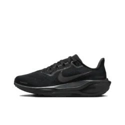 Air Zoom Pegasus 41 'Black Anthracite' FD2723-001