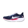 Air Zoom Pegasus 41 Team USA  HF0402-400
